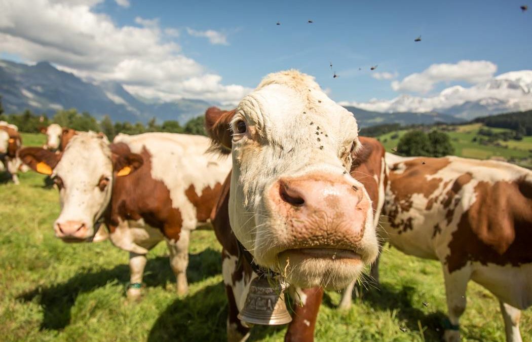 Fermeture exceptionnelle