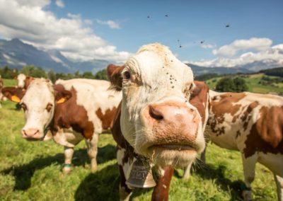 Fermeture exceptionnelle