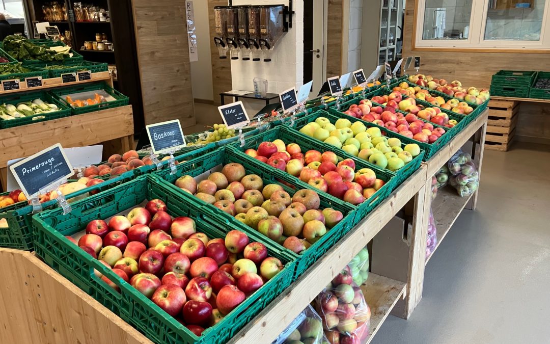 Nos variétés de pommes