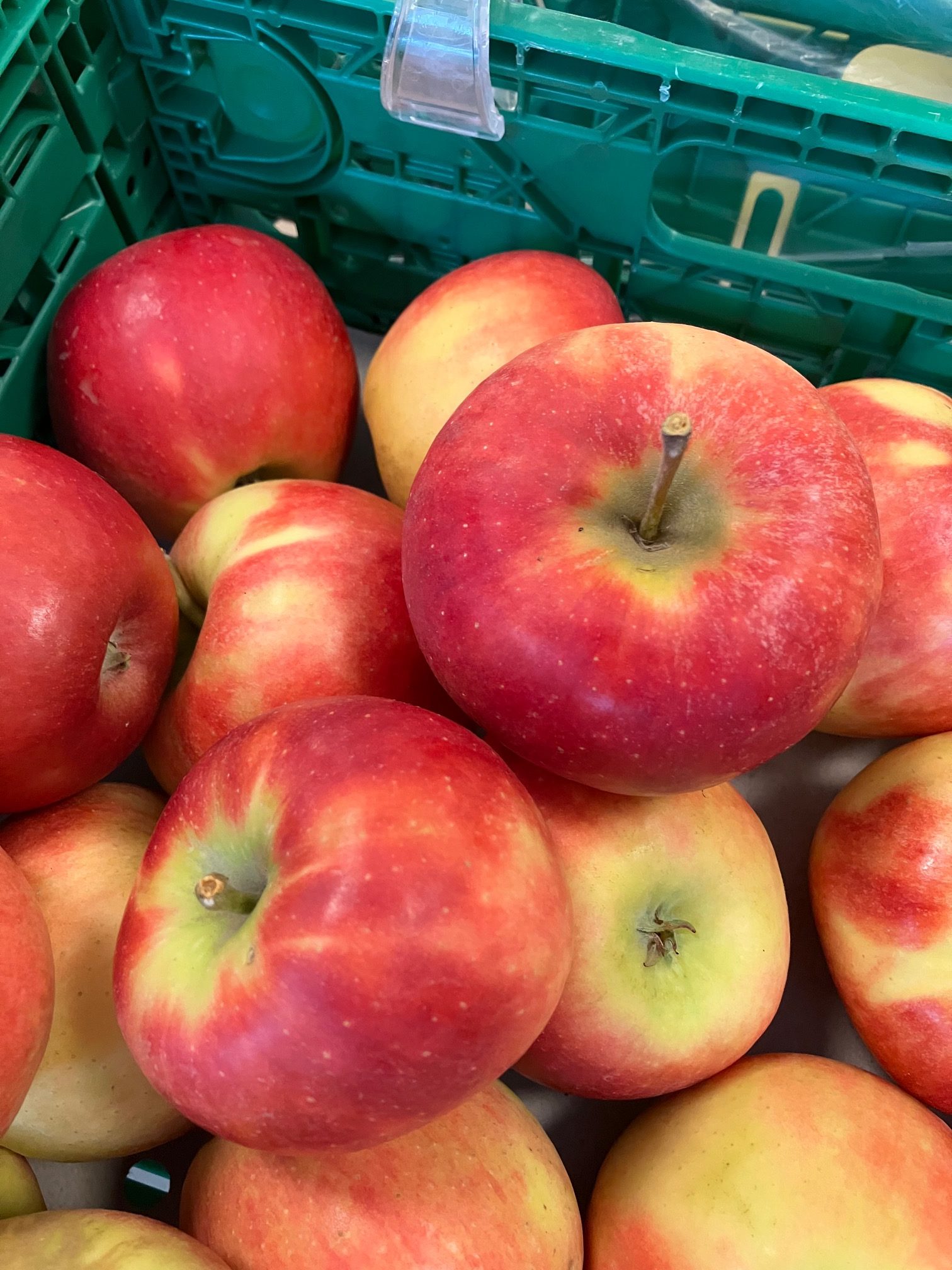 Pomme2 vente directe agriculteur geneve versoix