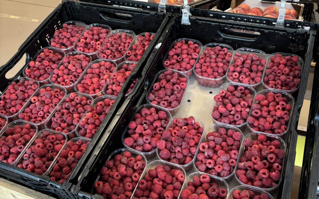 Framboises